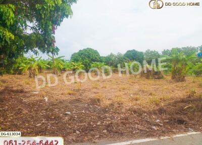 Vacant plot of land with trees and greenery