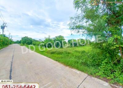 View of the road and surrounding greenery