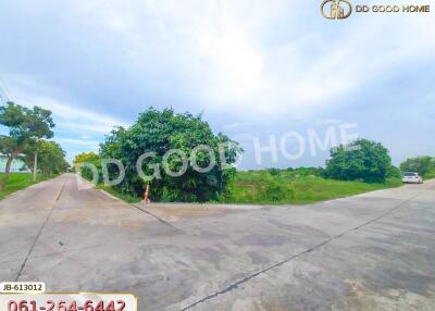 Entrance to property with surrounding greenery