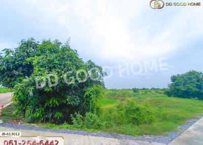 Open land plot with greenery