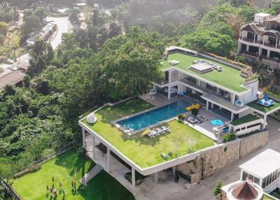 Aerial view of a modern villa with pool and rooftop garden