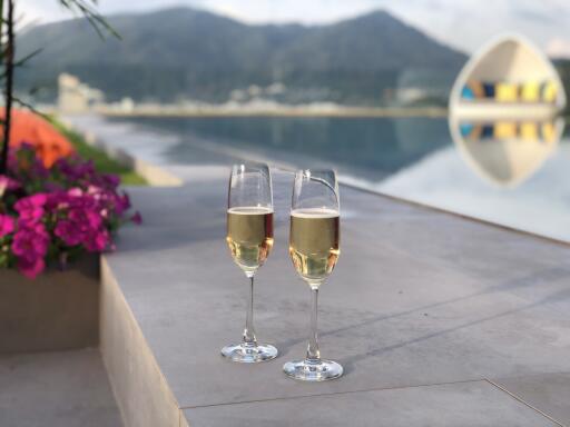 Two glasses of wine on a ledge overlooking a scenic view