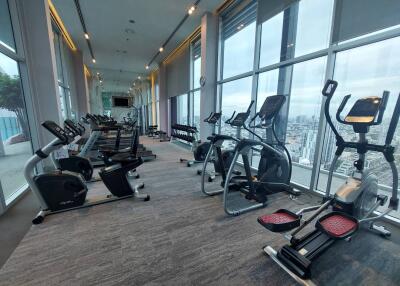 Modern gym with a panoramic city view