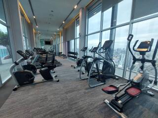 Modern gym with a panoramic city view