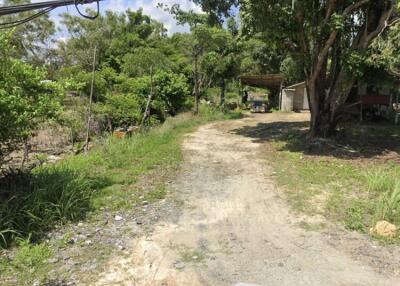 Outdoor dirt path leading towards a house surrounded by trees.