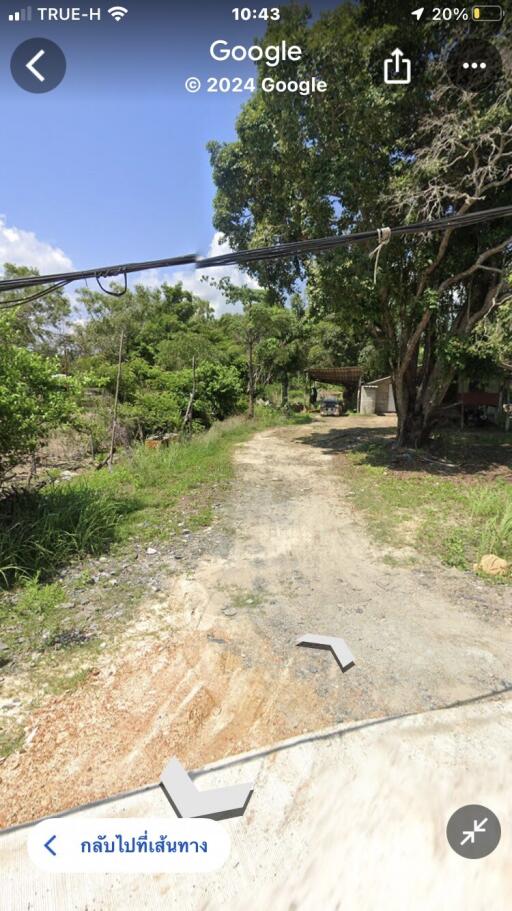 Outdoor dirt path leading towards a house surrounded by trees.