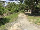 Dirt road leading to a property with trees and greenery