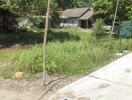 Vacant land with grass and trees, and a house in the background