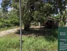 View of property with grassy area and a large tree