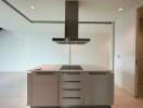 Modern kitchen with island and overhead range hood