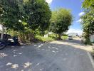 Street view with trees and parked vehicles