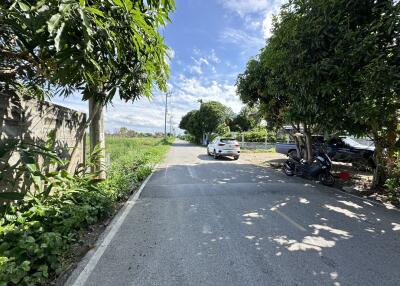 Quiet residential street with greenery