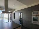 Modern kitchen with dark cabinetry and built-in appliances