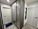 Modern hallway with closet and doors