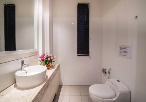 Modern bathroom with a countertop sink and toilet