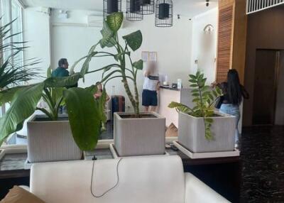 Modern building lobby with seating area and plant decor.