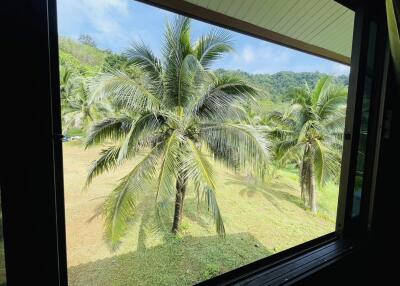 View from window of lush tropical landscape with palm trees