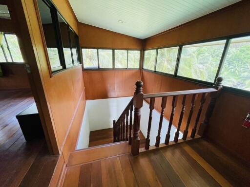 Wooden stairwell with extensive windows