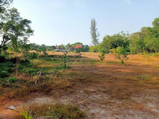 View of a large backyard with trees and a distant house