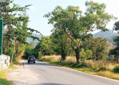 Rural road with trees and car
