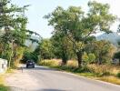 Rural road with trees and car