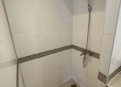 Modern bathroom shower area with handheld showerhead
