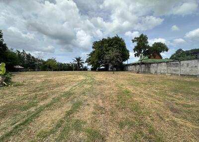 Open grassy lot with trees and perimeter wall