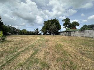 Open grassy lot with trees and perimeter wall