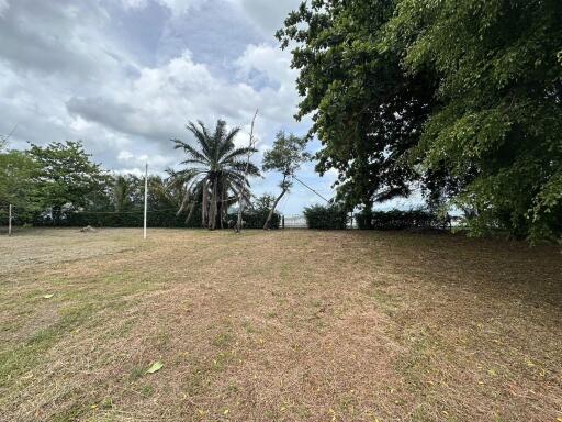 Spacious garden with trees and open sky