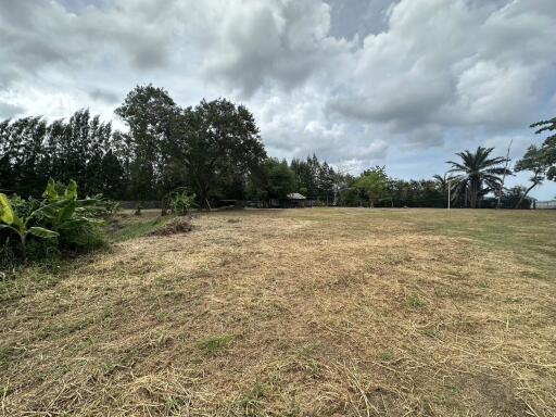 Spacious Backyard Garden Area with Trees and Open Field