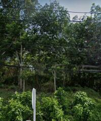 View of trees and greenery