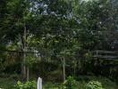 View of trees and greenery