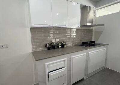 Modern kitchen with white cabinets and gray countertops