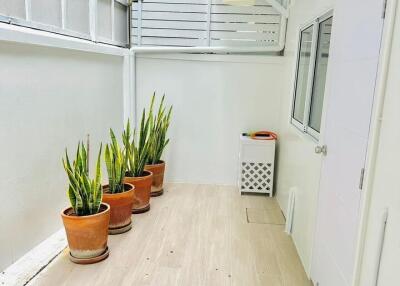 Bright and spacious balcony with potted plants