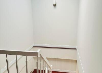 Bright staircase with skylight