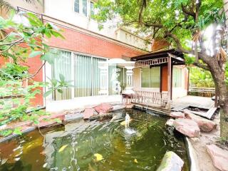 Outdoor area with pond and fish