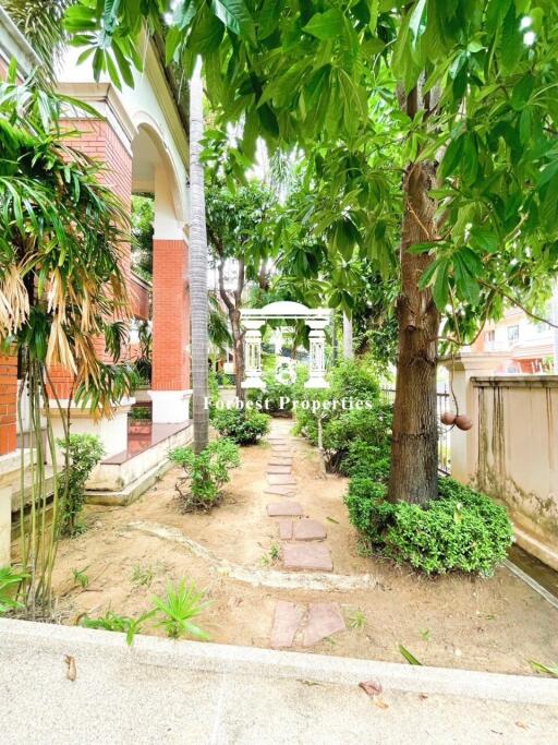 Garden area with greenery and pathway