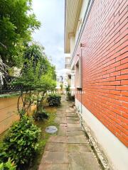 Outdoor garden area with pathway