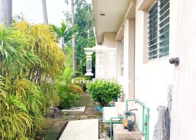 Backyard area with greenery and pathway