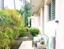 Backyard area with greenery and pathway