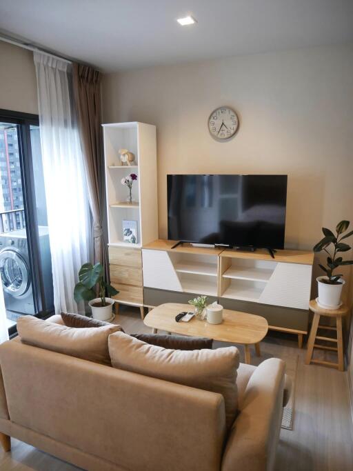 Modern and cozy living room with TV, sofa, and natural light