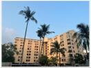 Exterior view of a multi-story residential building with palm trees