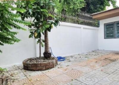 Outdoor patio with trees and tiled flooring