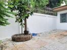 Outdoor patio with trees and tiled flooring