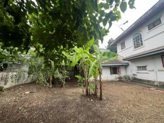 For Sale Bangkok Single House Nantawan Village Onnut 44 BTS On Nut MRT Si Nut Phra Khanong