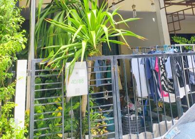 Front yard with planted greenery and clothes drying in front of a house