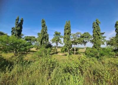 Scenic view with trees and clear blue sky