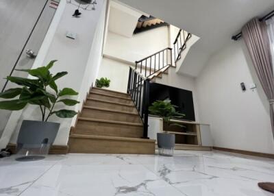 Modern stairway with plants and marble flooring
