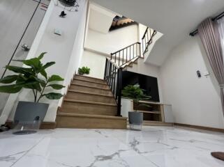 Modern stairway with plants and marble flooring