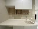 Modern minimalistic kitchen with white countertops and shelving